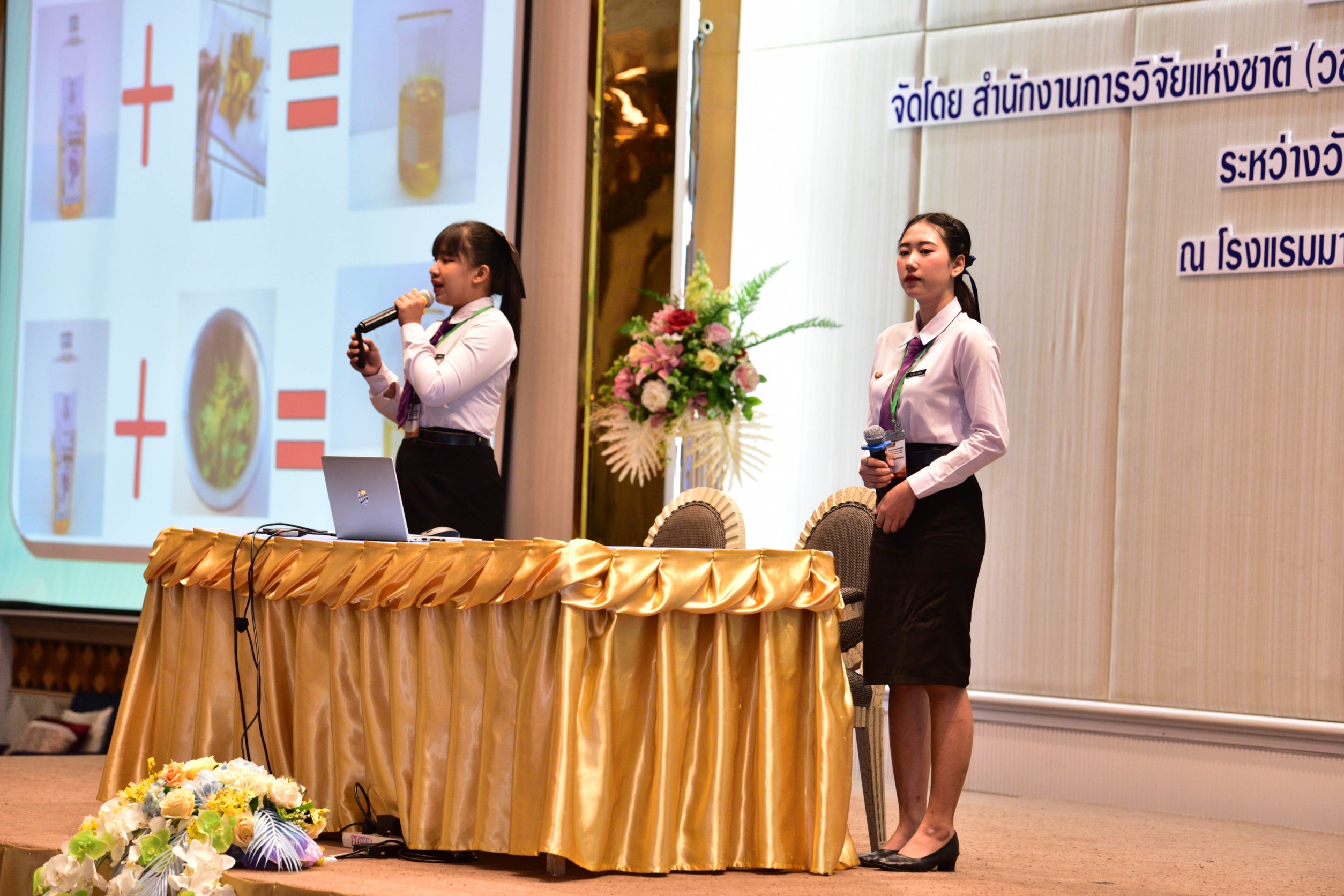 IMAGE - 2565