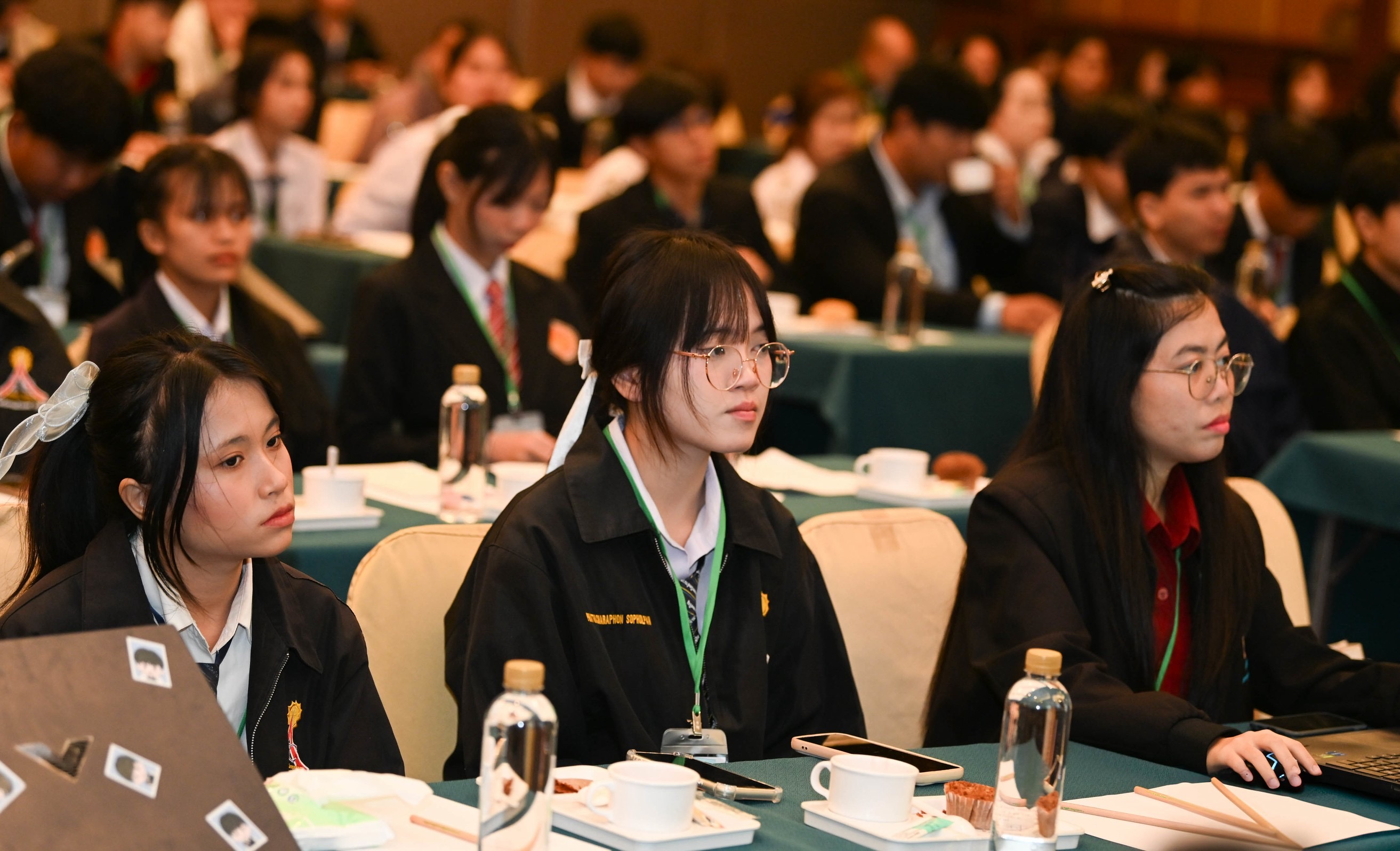 IMAGE - 3155