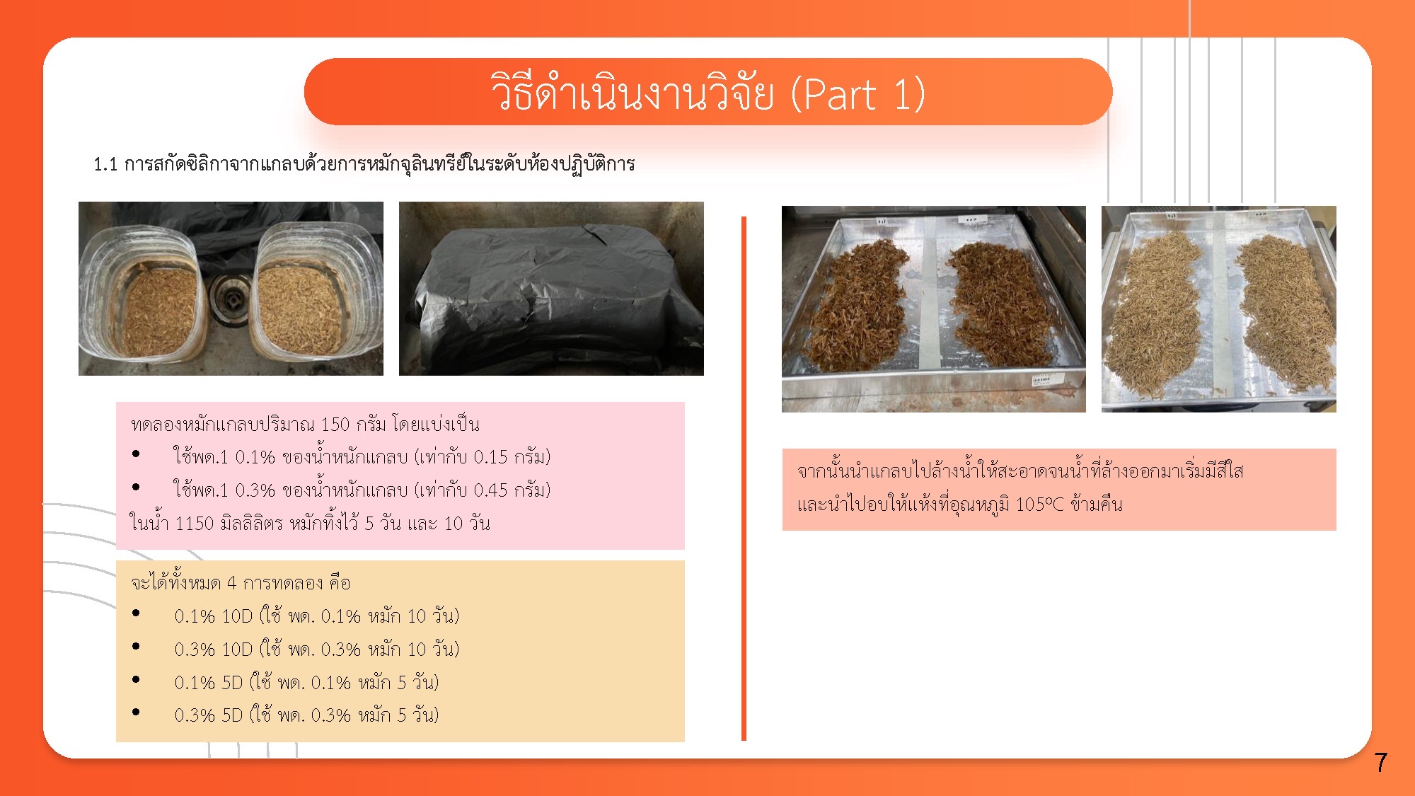 IMAGE - 3251
