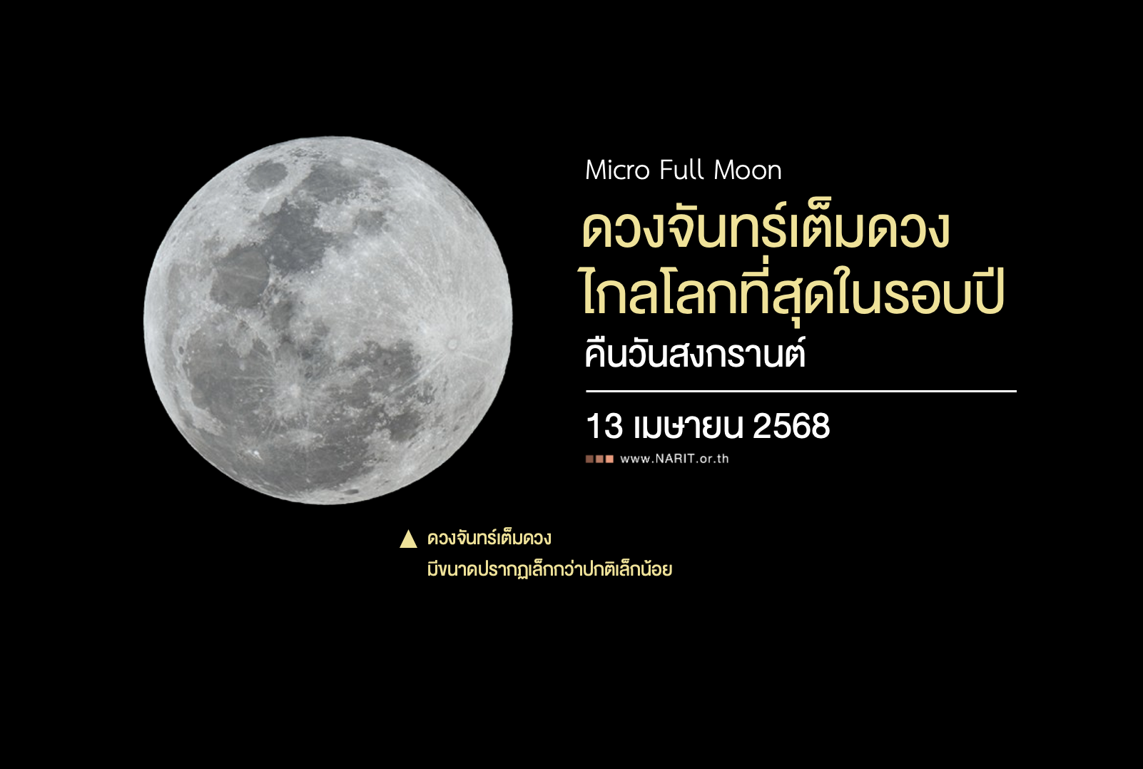 IMAGE - 3567