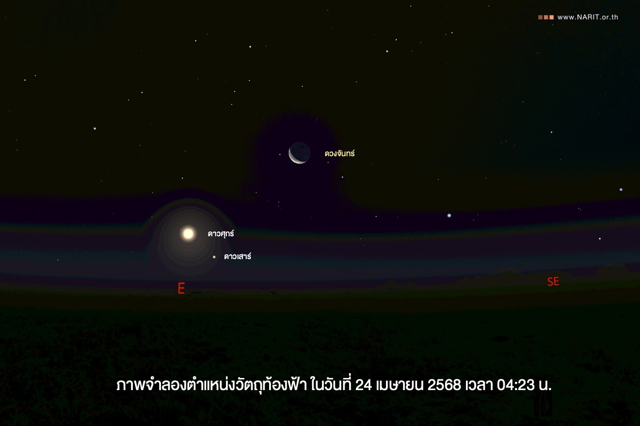 IMAGE - 3656