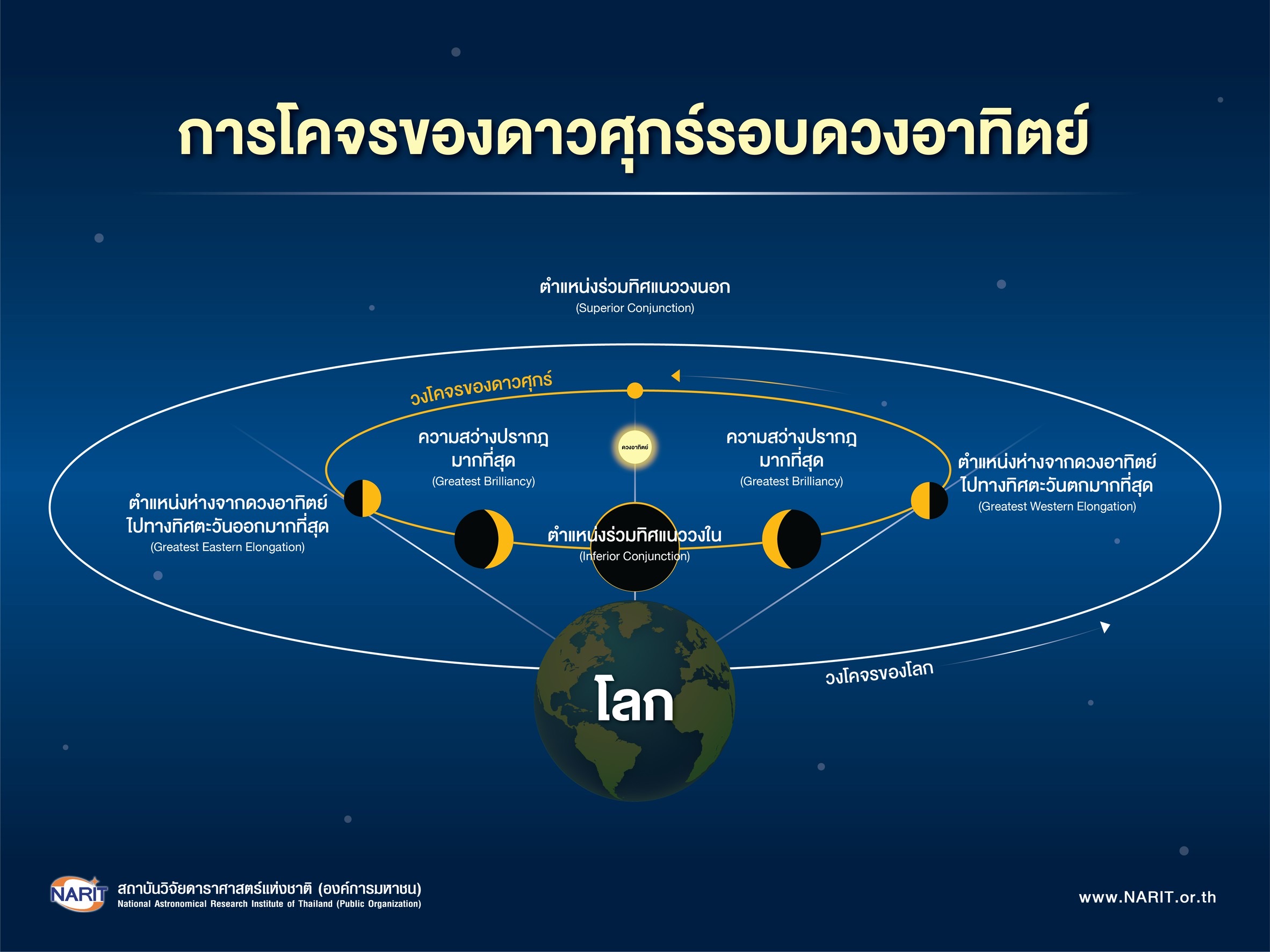 IMAGE - 3657