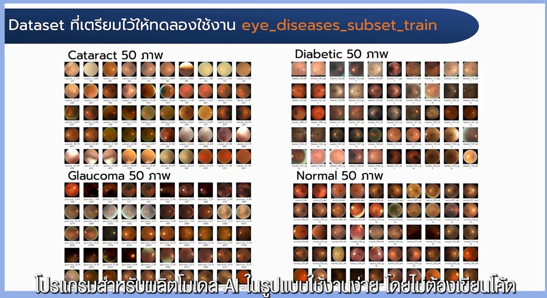 IMAGE - 3689
