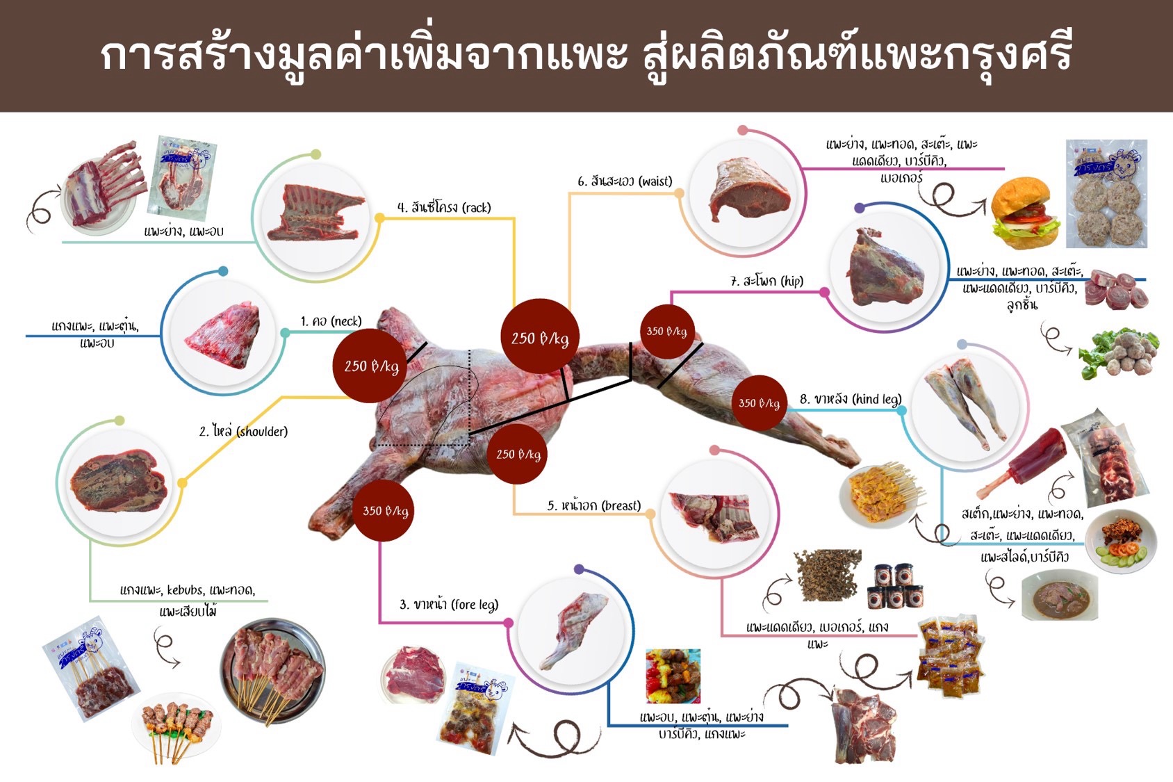 IMAGE - 4519