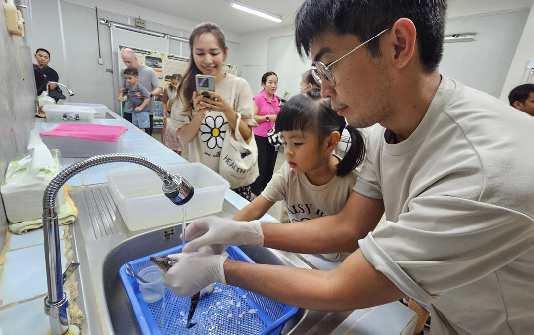 IMAGE - 4727