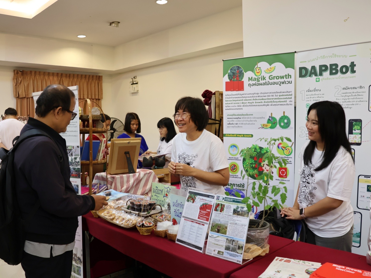 IMAGE - 4771