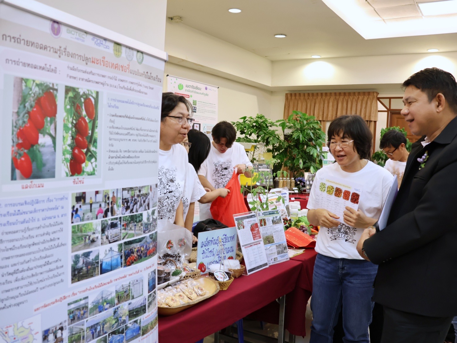 IMAGE - 4778