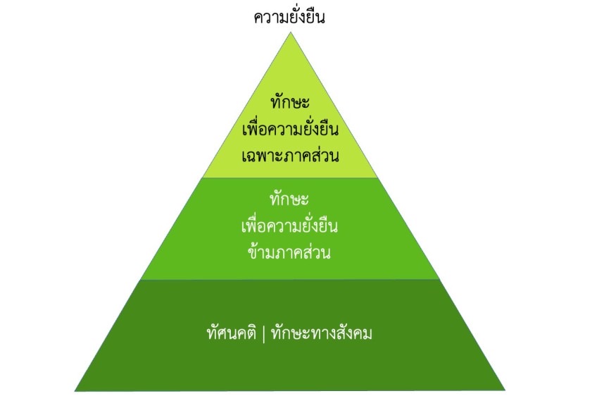 IMAGE - 5397
