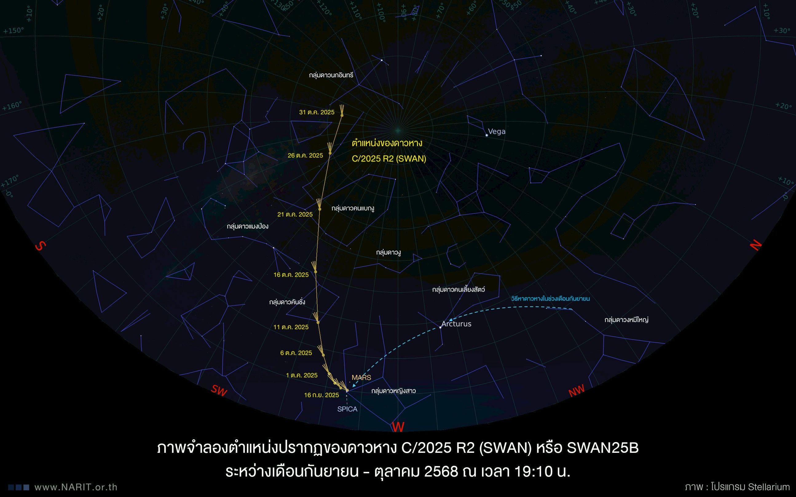 IMAGE - 7036