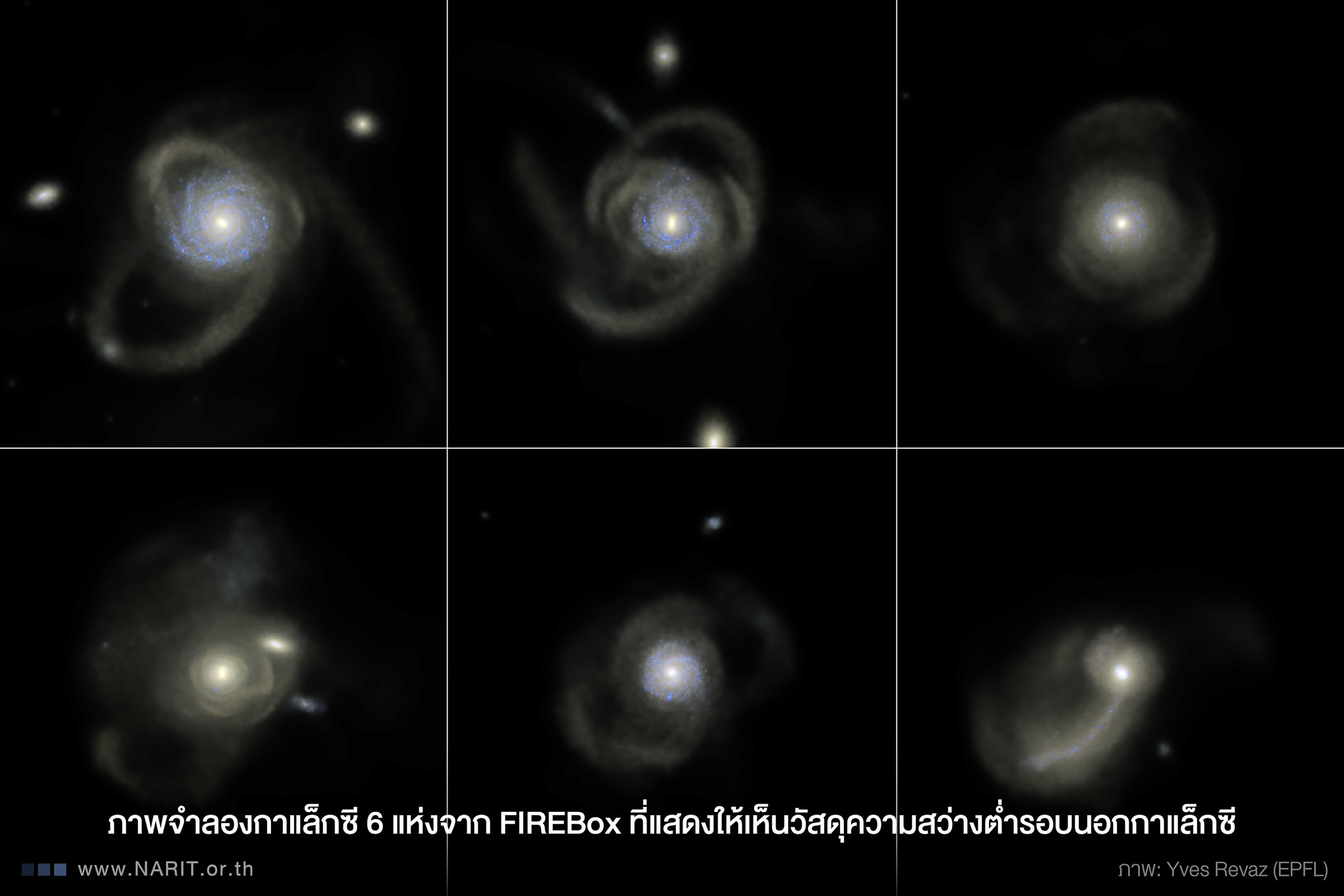 IMAGE - 12570
