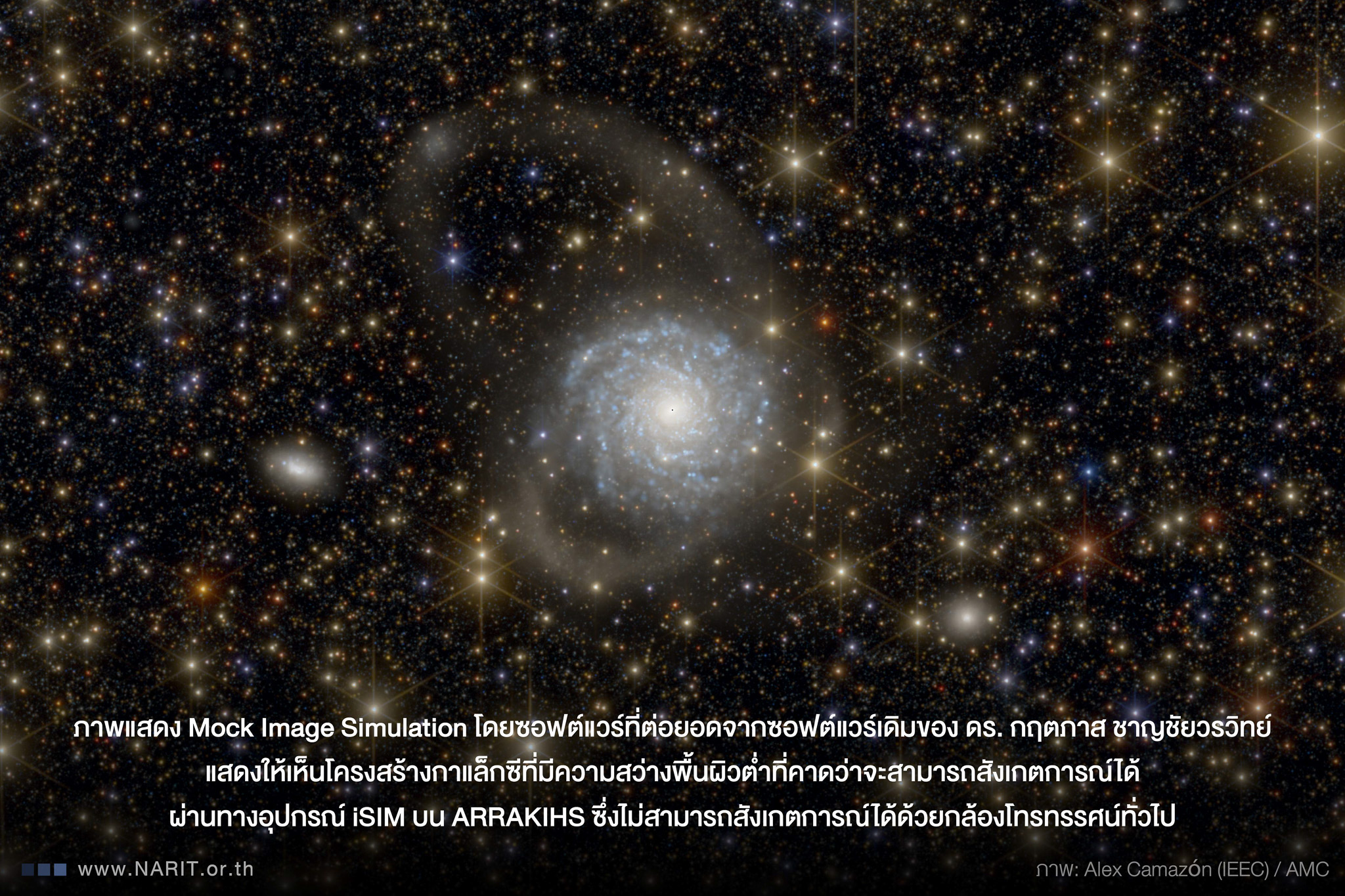 IMAGE - 12576