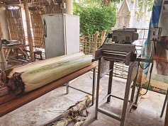 IMAGE - 12864