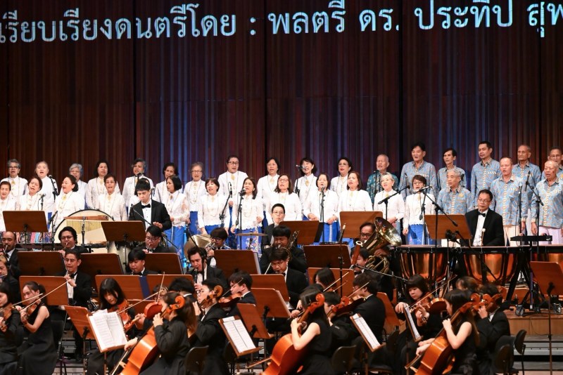 IMAGE - 13886